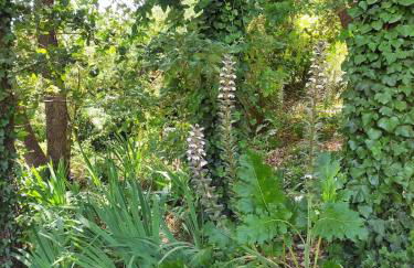 Villa les hirondelles avec piscine chauffée - Foto 26