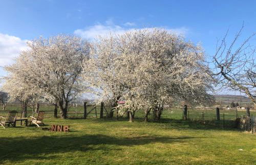 Wohnpension Litzkendorf - Foto 18