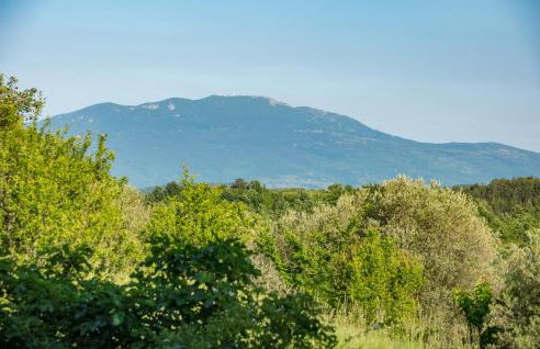 Nice Home In Buzet With Sauna - Photo 26