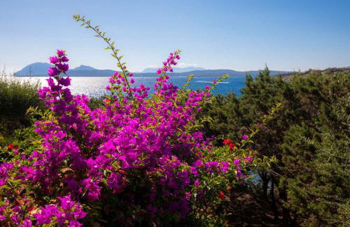 Splendido appartamento Vista Mare Porto Rotondo - Foto 23