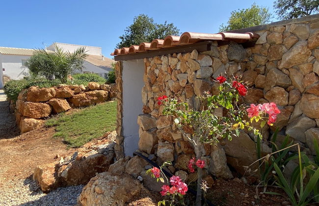 CIP V8 Gold - New!!! - Foto 44