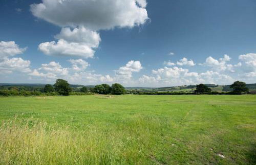 Long Roods cottage - Photo 35