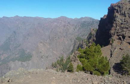 Apartamento Any - Foto 18