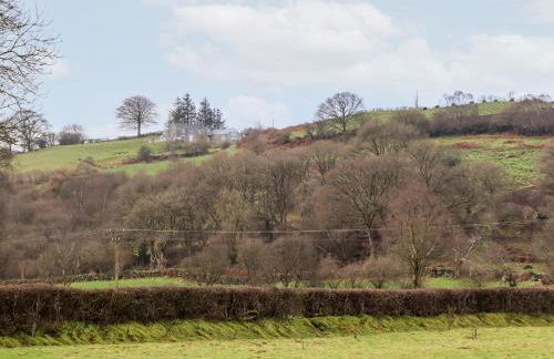 Hen Dy Bryn Mawndy - Photo 28