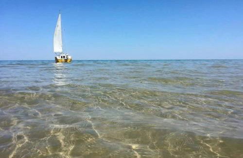 Ficus Pineto Vacanza - Foto 12