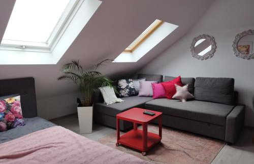 Ropienka ski micro - Foto 21