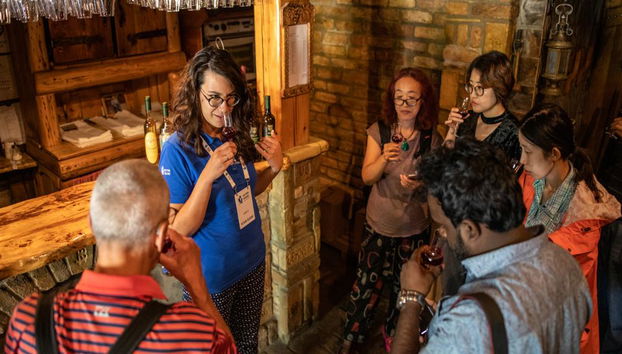 Excursión al norte de Serbia: Novi Sad y Sremski Karlovci - Foto 4