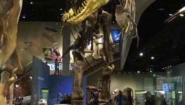 3 bed, close to Stadiums & Park, Big Yard - Foto 3