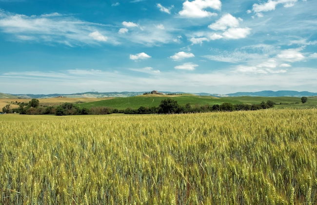 Agriturismo San Marcello - Foto 37