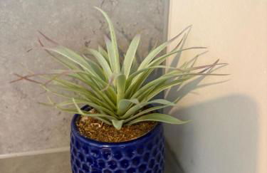 Stylish Studio flat 5, ensuite, kitchenette, Parking, Wifi,Smart TV,Nr Sandwell and Metropolitan Hospital - Foto 14