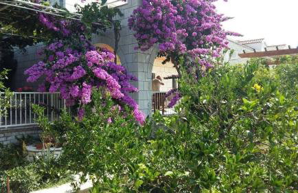 Apartments Husanovic - Foto 17