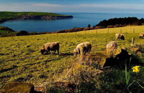 The Yorkshireman - Foto 15