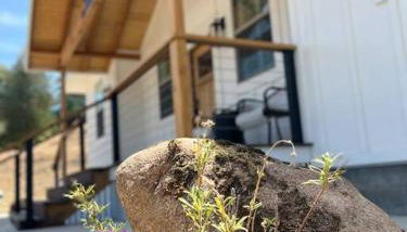 Soleil Luna 2 miles from Sequoia Park Entrance - Foto 2