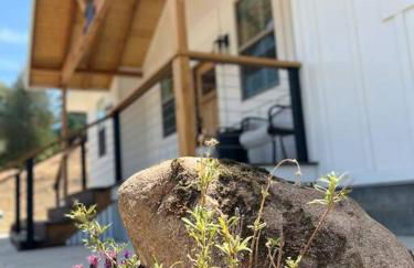 Soleil Luna 2 miles from Sequoia Park Entrance - Foto 2