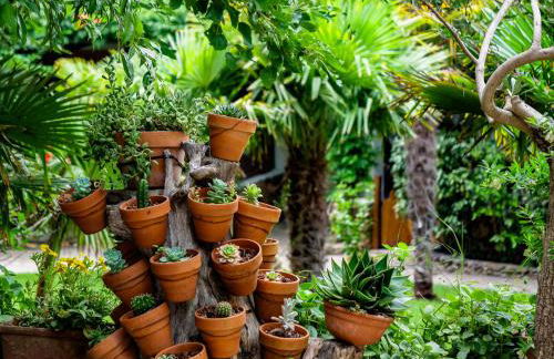 Residence L'Ulivo - Foto 63