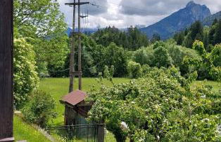 Mountain Apartment Rododendro - Foto 22