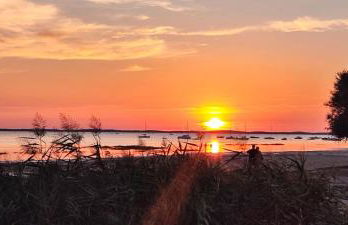 Villa de Gascogne - Foto 24