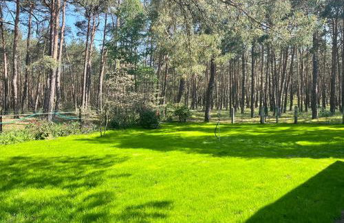 Ferienhaus im Wald, am Briesener See - Foto 2