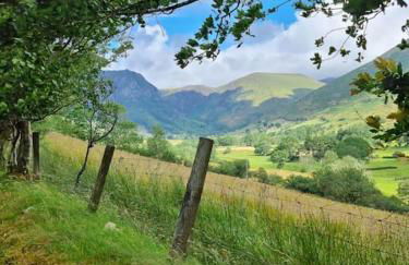 Chapel Cottage - Photo 30