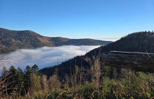 Chalet Le DRUZIA at 1000 m - Foto 42