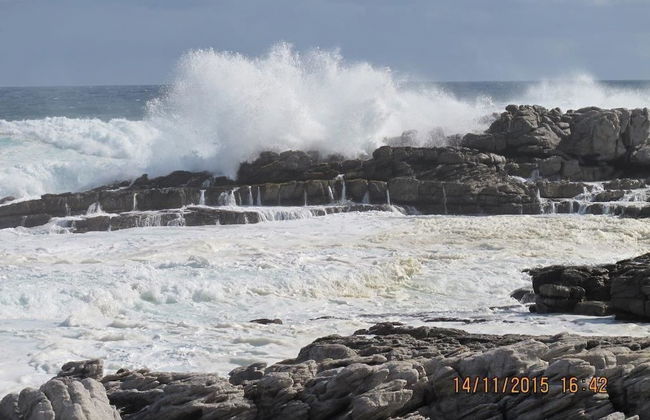 Ocean Edge Apartments - Photo 23