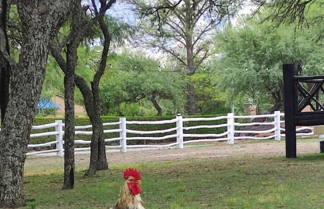 Cabañas La Morada - Foto 61