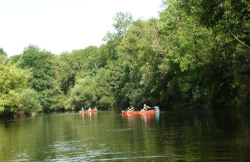 Ferienwohnung Schulze - Photo 27
