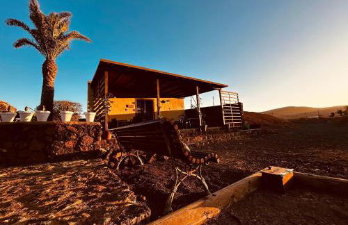 Erbania Heritage, naturally - Foto 18