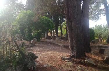 Agriturismo Teatro del grano - Foto 4