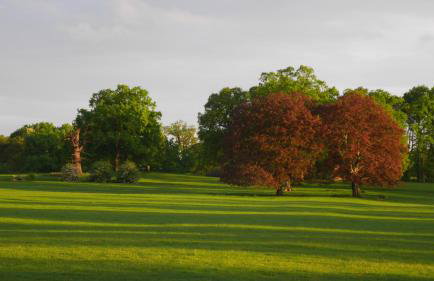 Henley Hall, Ludlow - Foto 20