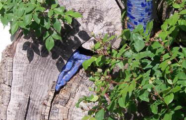 Atelier am Markt - Photo 34