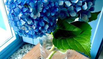 Apartamentos Turísticos Casa Dina - Foto 5