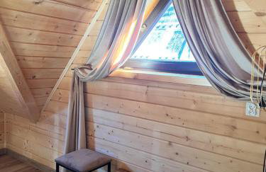 Żabie Dworki Witów Luxury Chalets & SPA - Foto 28