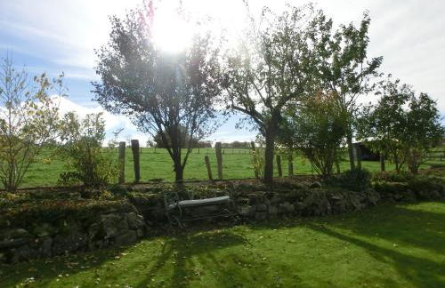 Wiesenblick - Foto 13