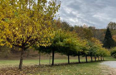 Can Torrotes - Foto 68