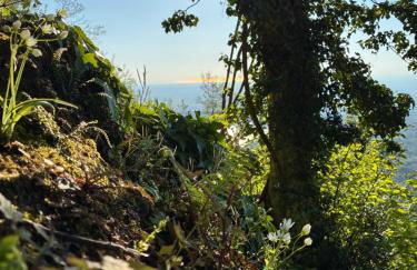 Villa Anna - Foto 42