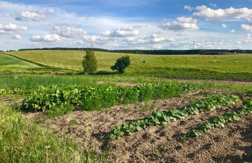 Agroturystyka nad jeziorem Silickim Ilińscy - Foto 23