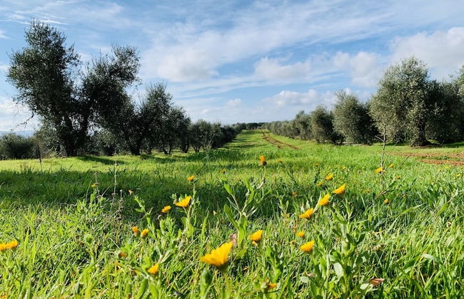 Tenuta Agricola Fraschiera - Foto 65
