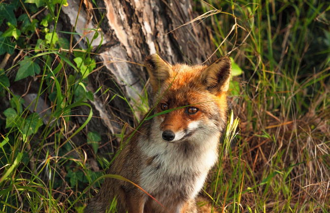 Agriturismo Al Vermigliano - Foto 31