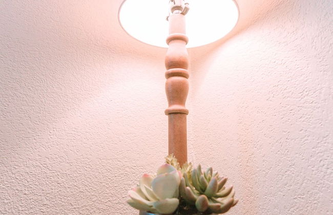 Colony Suites - Foto 11