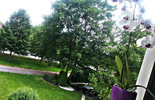 Apartment Lipa - Foto 26