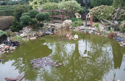 Familienurlaub in Ostfriesland für max 7 Pers in 2 Wohnungen, auch Einzeln Wohnungen - Photo 66