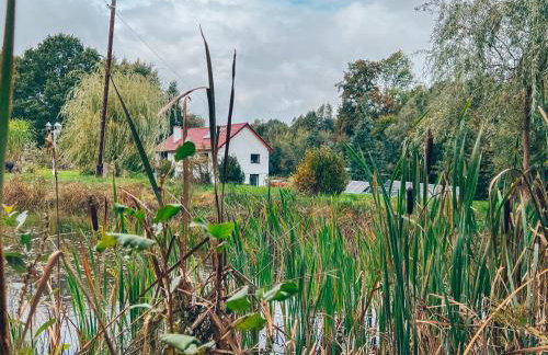 Lipolas-slowlife&guesthouse - Photo 51