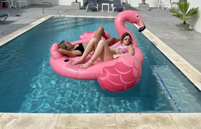 The Palm Leaf Apartments - Foto 29