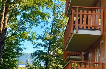 STARS I FREE Parking I Widok na Szrenice I Rodzinne wakacje - Foto 38