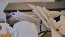 Mutti 's Haus -Zur Südheide - Foto 3