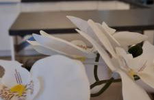 Mutti 's Haus -Zur Südheide - Foto 3