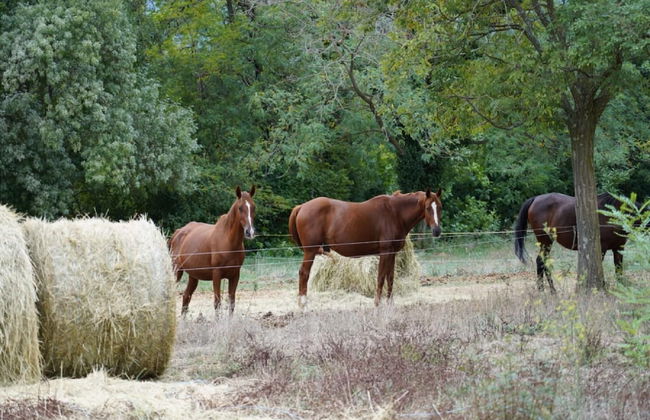 Beautiful Holiday Home With Fireplace - Foto 54