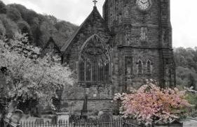 Cherry Tree Studio - Foto 23