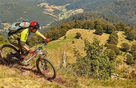 Apartment Frank - bis zu 3 Schlafzimmer - Photo 28